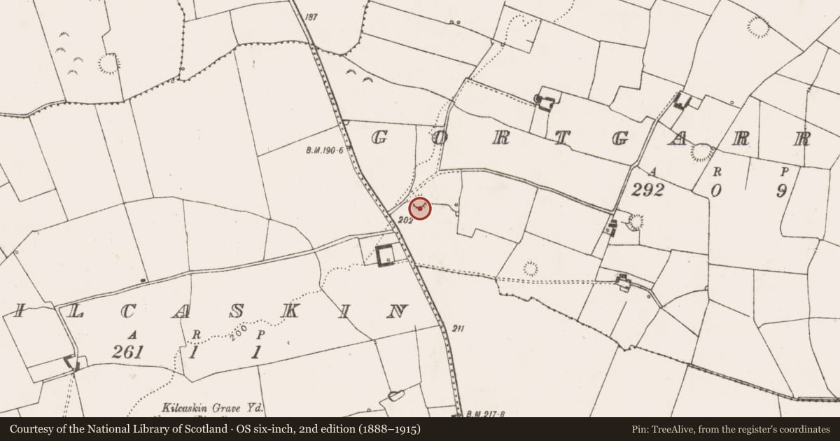 Ordnance Survey six-inch map, 2nd edition (1888–1915) covering the location of Ringfort - rath, Gortgarralt, County Limerick, with a pin at the register's coordinates