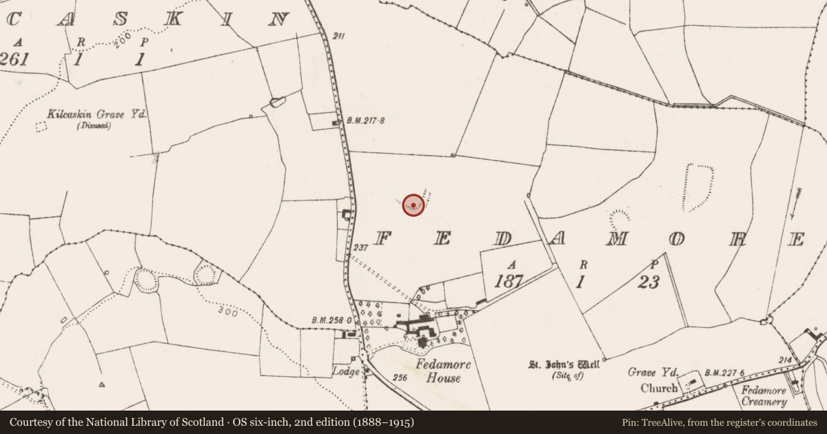 Ordnance Survey six-inch map, 2nd edition (1888–1915) covering the location of Moated site, Fedamore, County Limerick, with a pin at the register's coordinates