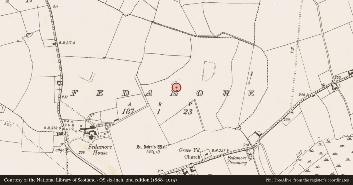 Ordnance Survey six-inch map, 2nd edition (1888–1915) covering the location of Ringfort - rath, Fedamore, County Limerick, with a pin at the register's coordinates