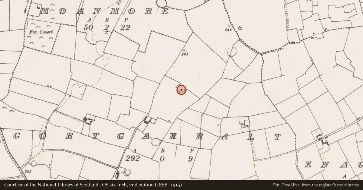 Ordnance Survey six-inch map, 2nd edition (1888–1915) covering the location of Ringfort - rath, Gortgarralt, County Limerick, with a pin at the register's coordinates