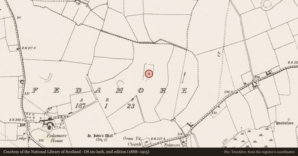 Ordnance Survey six-inch map, 2nd edition (1888–1915) covering the location of Field system, Fedamore, County Limerick, with a pin at the register's coordinates