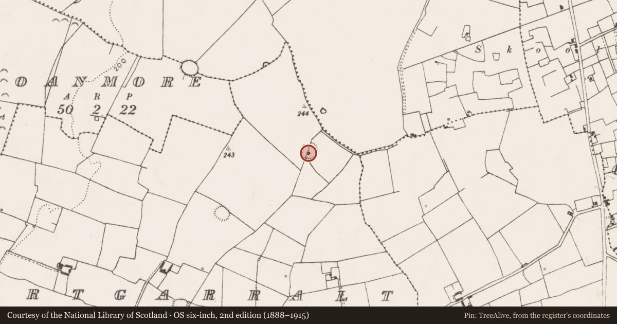 Ordnance Survey six-inch map, 2nd edition (1888–1915) covering the location of Ringfort - rath, Gortgarralt, County Limerick, with a pin at the register's coordinates