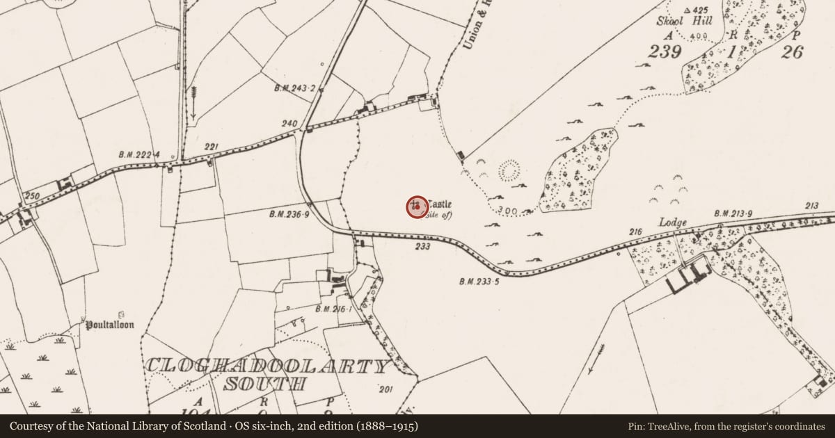 Ordnance Survey six-inch map, 2nd edition (1888–1915) covering the location of Castle - unclassified, Skoolhill, County Limerick, with a pin at the register's coordinates