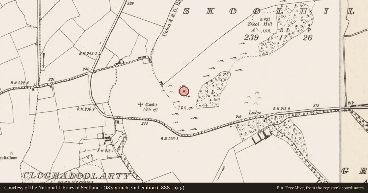 Ordnance Survey six-inch map, 2nd edition (1888–1915) covering the location of Ringfort - cashel, Skoolhill, County Limerick, with a pin at the register's coordinates
