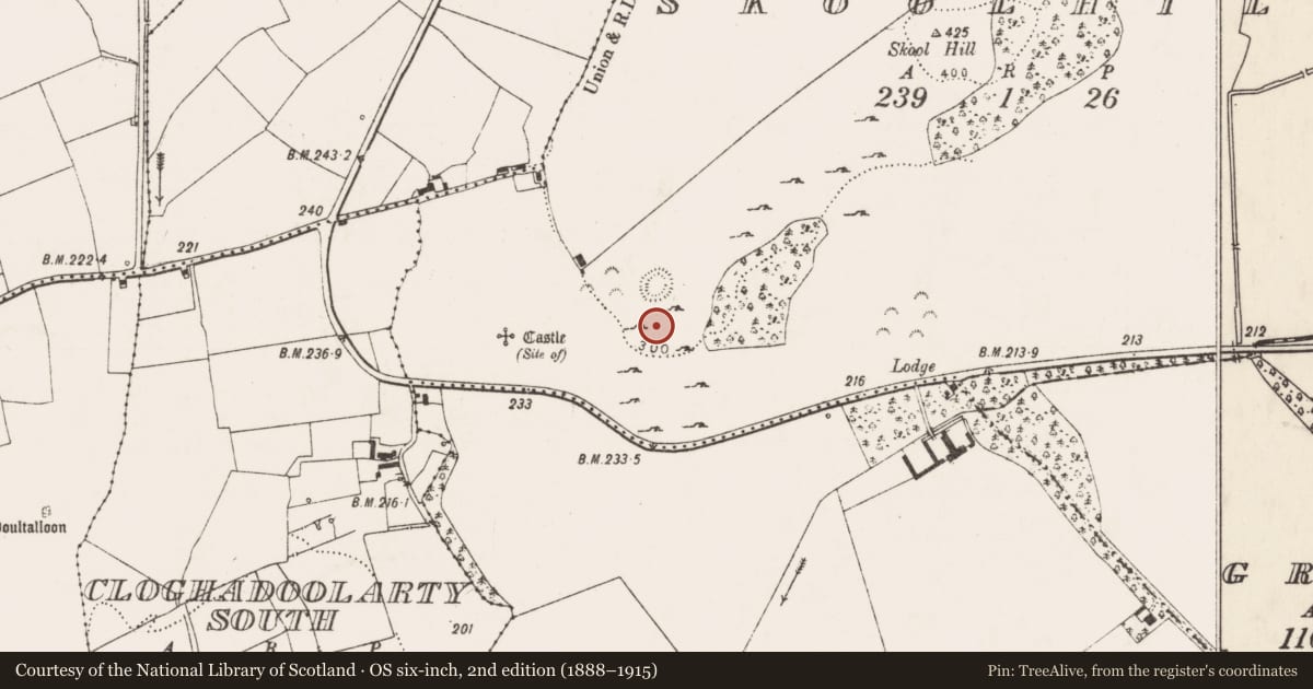 Ordnance Survey six-inch map, 2nd edition (1888–1915) covering the location of Field system, Skoolhill, County Limerick, with a pin at the register's coordinates