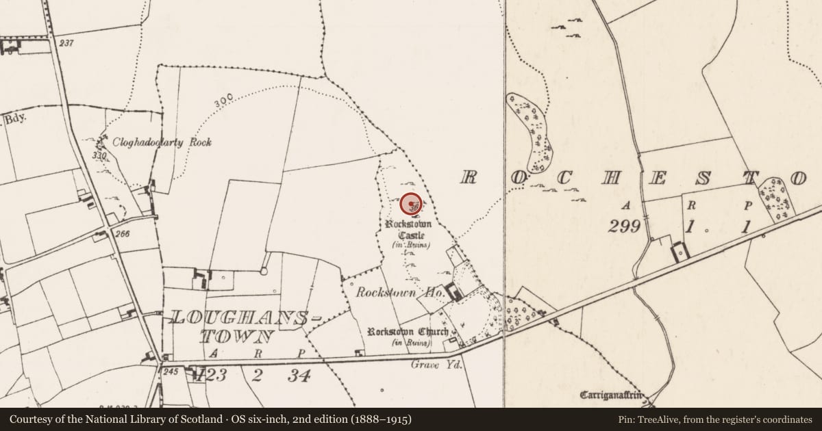 Ordnance Survey six-inch map, 2nd edition (1888–1915) covering the location of Bawn, Rockstown, County Limerick, with a pin at the register's coordinates