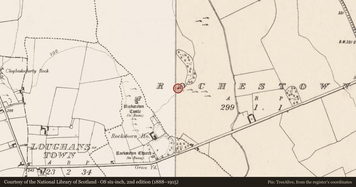 Ordnance Survey six-inch map, 2nd edition (1888–1915) covering the location of Field system, Rochestown, County Limerick, with a pin at the register's coordinates