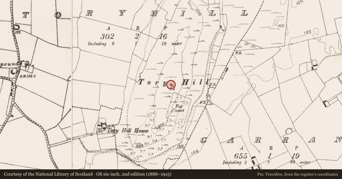 Ordnance Survey six-inch map, 2nd edition (1888–1915) covering the location of Hillfort, Toryhill, County Limerick, with a pin at the register's coordinates