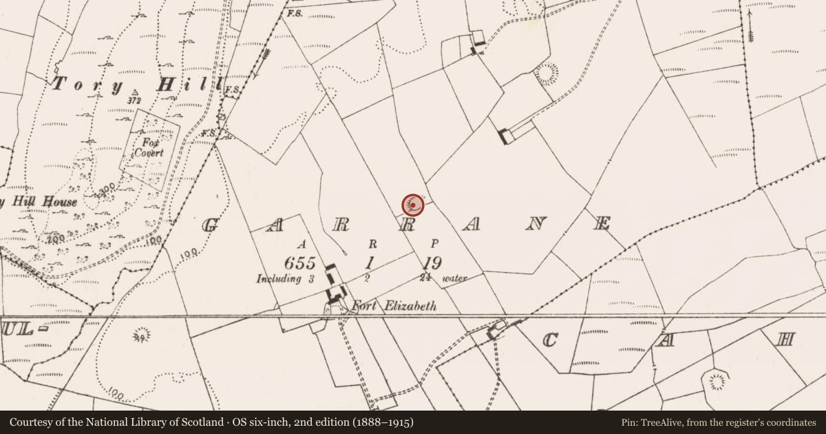 Ordnance Survey six-inch map, 2nd edition (1888–1915) covering the location of Ringfort - rath, Garrane, County Limerick, with a pin at the register's coordinates