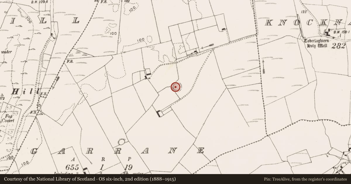 Ordnance Survey six-inch map, 2nd edition (1888–1915) covering the location of Ringfort - rath, Garrane, County Limerick, with a pin at the register's coordinates