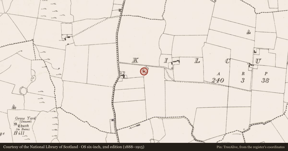 Ordnance Survey six-inch map, 2nd edition (1888–1915) covering the location of Ringfort - rath, Kilcurly, County Limerick, with a pin at the register's coordinates