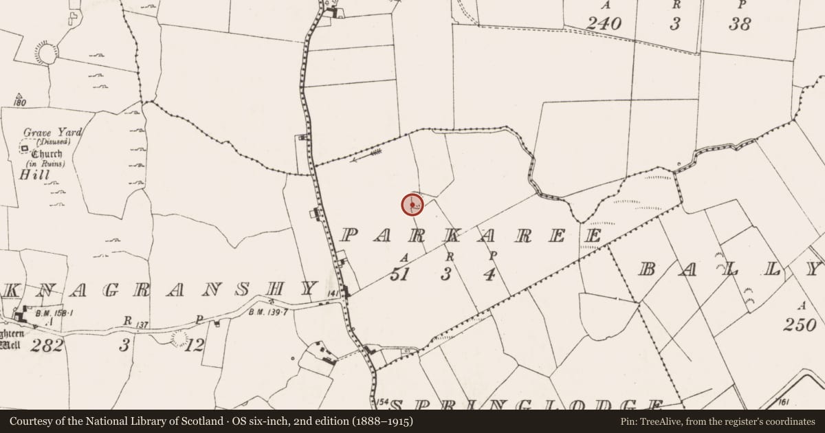Ordnance Survey six-inch map, 2nd edition (1888–1915) covering the location of Ringfort - rath, Parkaree, County Limerick, with a pin at the register's coordinates
