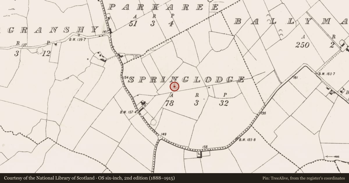 Ordnance Survey six-inch map, 2nd edition (1888–1915) covering the location of Ringfort - rath, Springlodge, County Limerick, with a pin at the register's coordinates