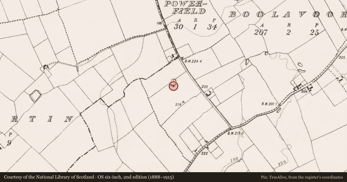Ordnance Survey six-inch map, 2nd edition (1888–1915) covering the location of Ringfort - cashel, Boolavoord, County Limerick, with a pin at the register's coordinates