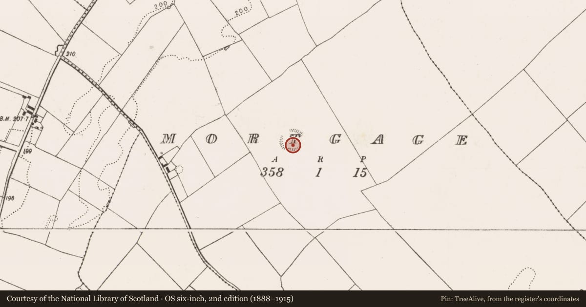 Ordnance Survey six-inch map, 2nd edition (1888–1915) covering the location of Barrow - unclassified, Mortgage, County Limerick, with a pin at the register's coordinates