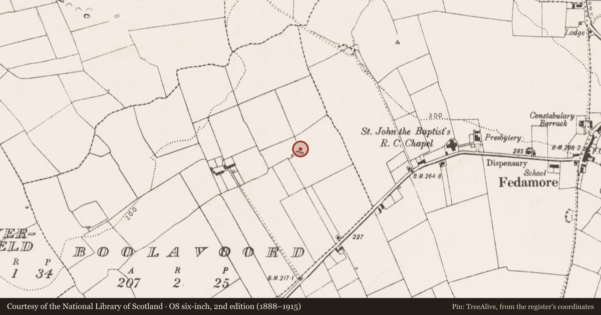 Ordnance Survey six-inch map, 2nd edition (1888–1915) covering the location of Ringfort - rath, Boolavoord, County Limerick, with a pin at the register's coordinates