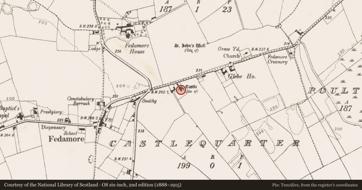 Ordnance Survey six-inch map, 2nd edition (1888–1915) covering the location of Castle - unclassified, Castlequarter, County Limerick, with a pin at the register's coordinates
