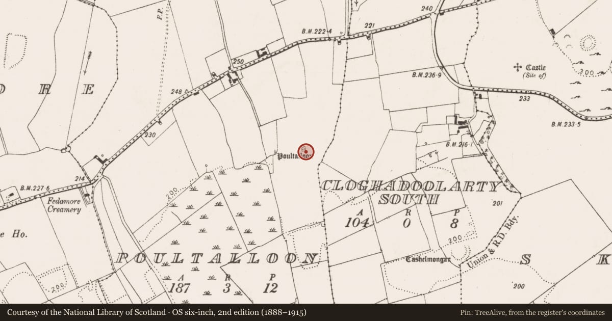 Ordnance Survey six-inch map, 2nd edition (1888–1915) covering the location of Cave, Poultalloon, County Limerick, with a pin at the register's coordinates