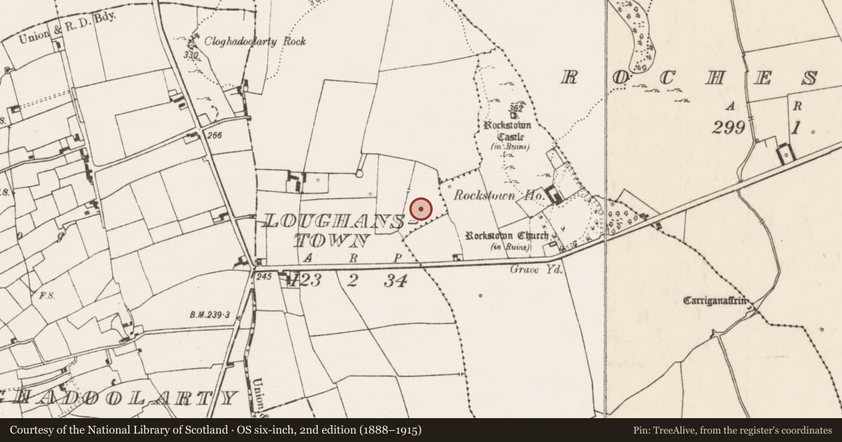 Ordnance Survey six-inch map, 2nd edition (1888–1915) covering the location of House - 16th/17th century, Loughanstown, County Limerick, with a pin at the register's coordinates