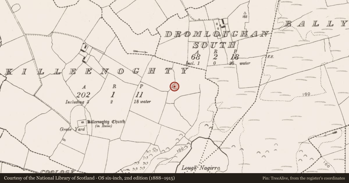 Ordnance Survey six-inch map, 2nd edition (1888–1915) covering the location of Ringfort - rath, Killeenoghty, County Limerick, with a pin at the register's coordinates