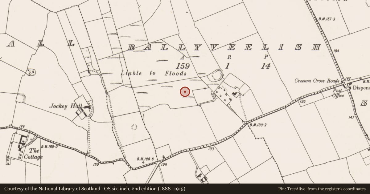 Ordnance Survey six-inch map, 2nd edition (1888–1915) covering the location of Barrow - ring-barrow, Ballyveelish, County Limerick, with a pin at the register's coordinates
