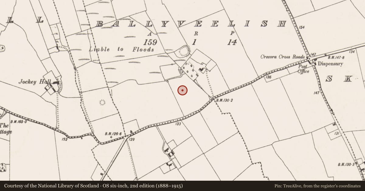 Ordnance Survey six-inch map, 2nd edition (1888–1915) covering the location of Barrow - ring-barrow, Ballyveelish, County Limerick, with a pin at the register's coordinates
