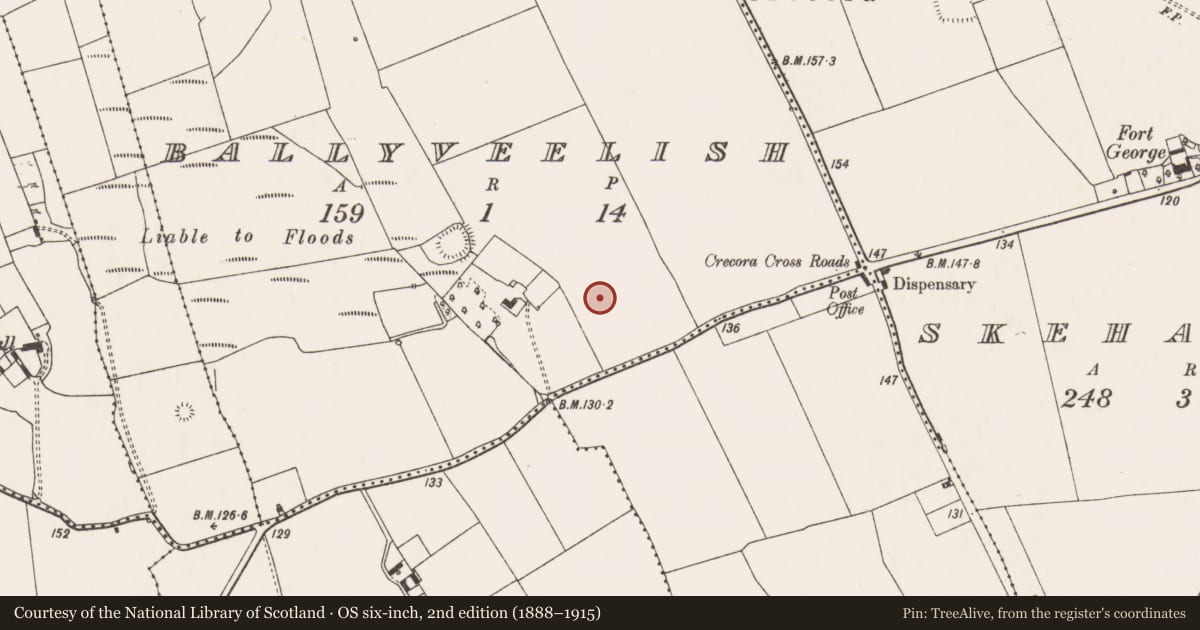 Ordnance Survey six-inch map, 2nd edition (1888–1915) covering the location of Quarry, Ballyveelish, County Limerick, with a pin at the register's coordinates