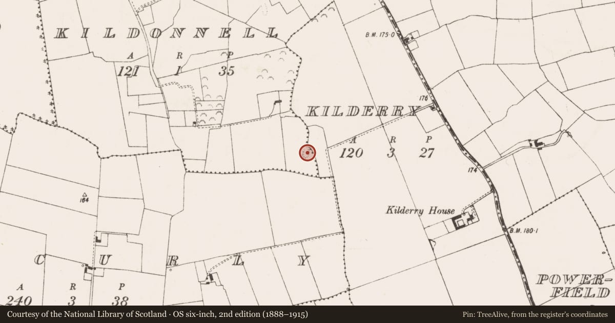 Ordnance Survey six-inch map, 2nd edition (1888–1915) covering the location of Ringfort - rath, Kilderry, Kildonnell, County Limerick, with a pin at the register's coordinates