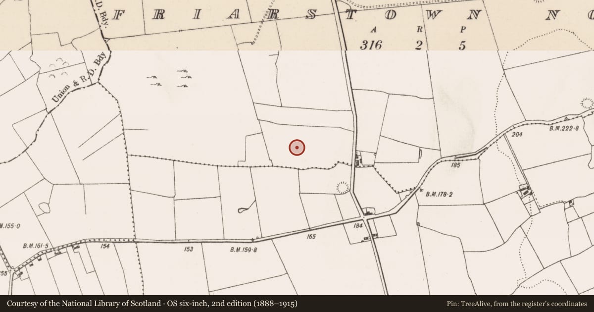 Ordnance Survey six-inch map, 2nd edition (1888–1915) covering the location of Standing stone, Friarstown North, County Limerick, with a pin at the register's coordinates