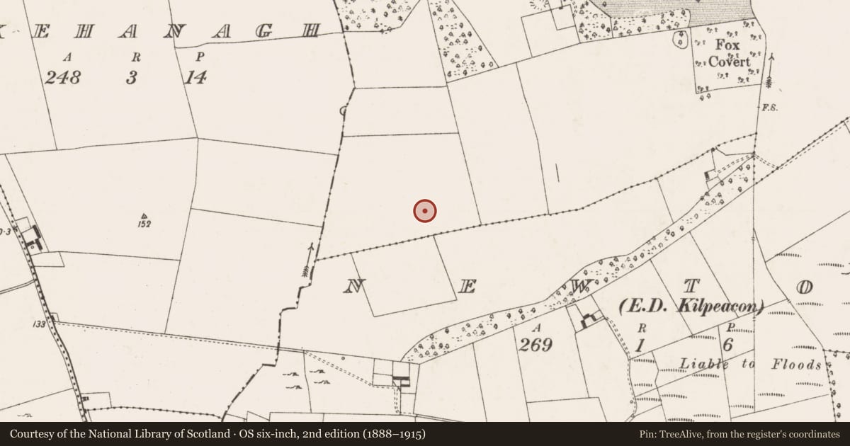 Ordnance Survey six-inch map, 2nd edition (1888–1915) covering the location of Enclosure, Kilpeacon, County Limerick, with a pin at the register's coordinates