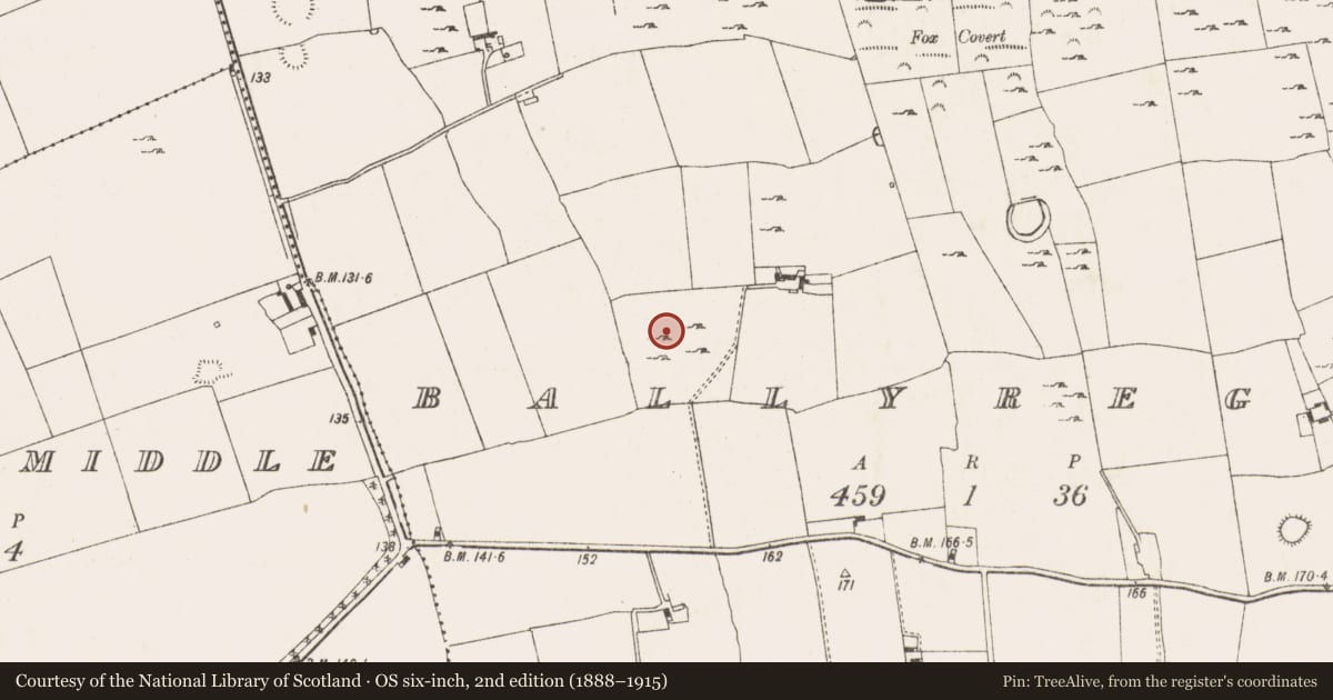 Ordnance Survey six-inch map, 2nd edition (1888–1915) covering the location of Enclosure, Ballyregan, County Limerick, with a pin at the register's coordinates
