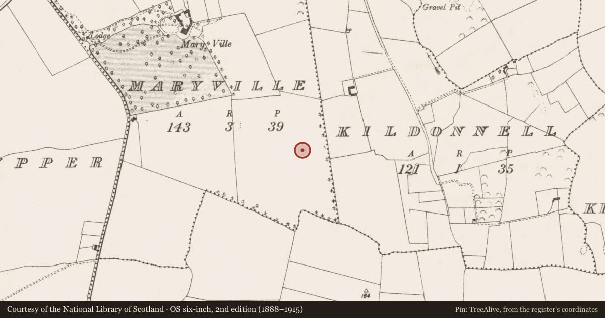Ordnance Survey six-inch map, 2nd edition (1888–1915) covering the location of Enclosure, Maryville, County Limerick, with a pin at the register's coordinates