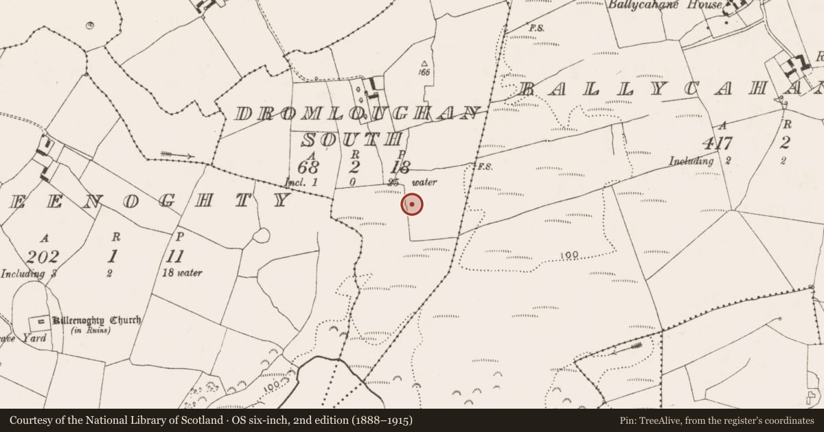Ordnance Survey six-inch map, 2nd edition (1888–1915) covering the location of Enclosure, Dromloughan South, County Limerick, with a pin at the register's coordinates