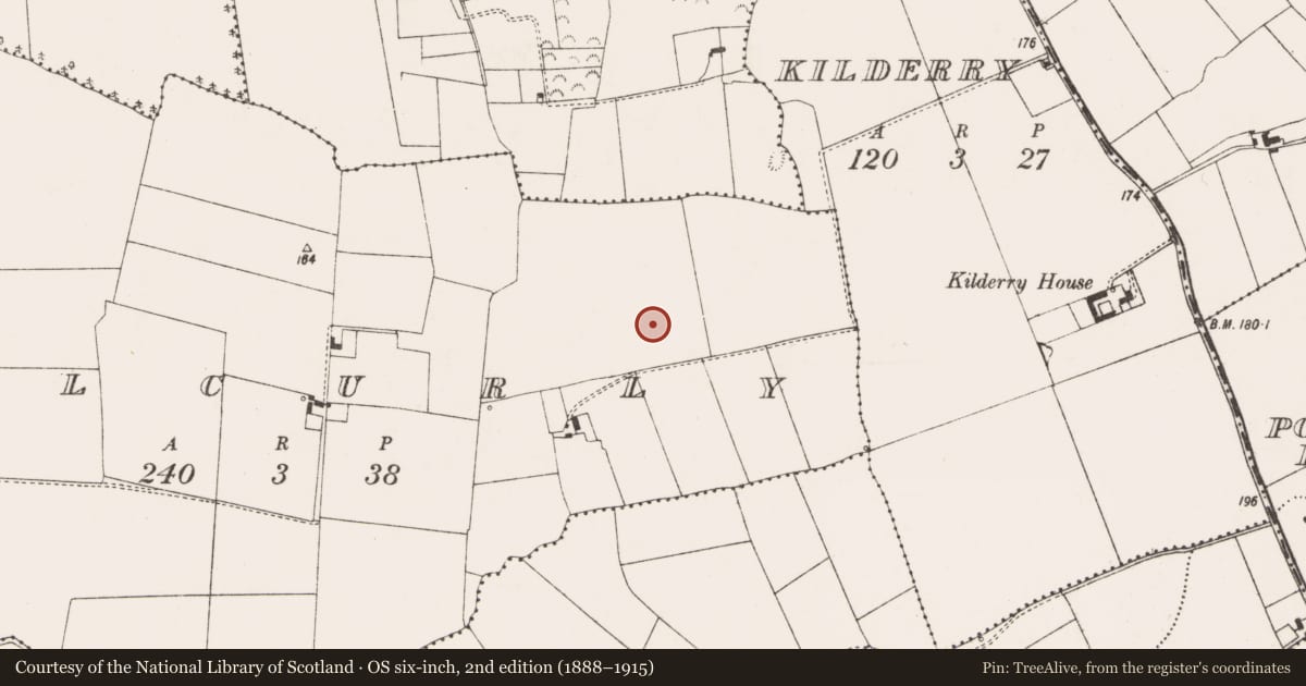 Ordnance Survey six-inch map, 2nd edition (1888–1915) covering the location of Enclosure, Kilcurly, County Limerick, with a pin at the register's coordinates