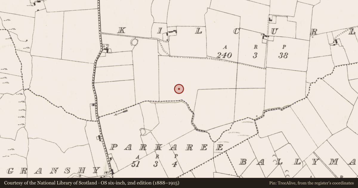 Ordnance Survey six-inch map, 2nd edition (1888–1915) covering the location of Enclosure, Kilcurly, County Limerick, with a pin at the register's coordinates