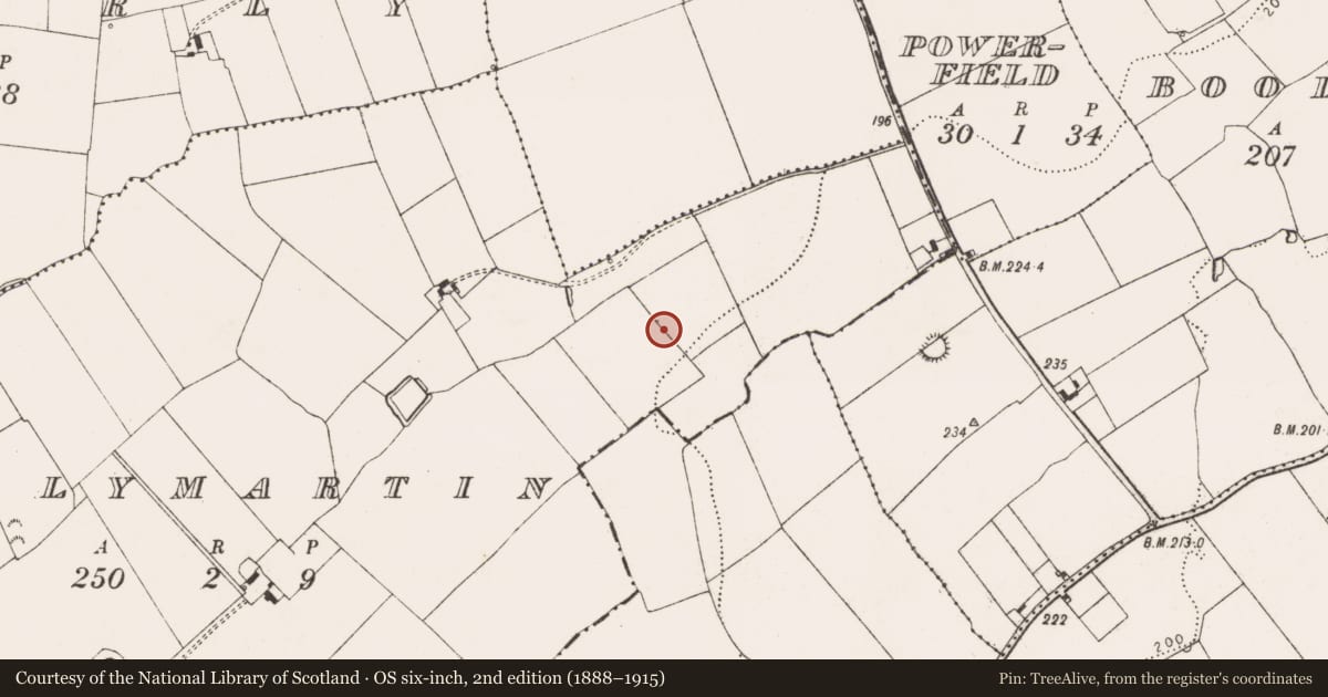 Ordnance Survey six-inch map, 2nd edition (1888–1915) covering the location of Enclosure, Ballymartin, County Limerick, with a pin at the register's coordinates