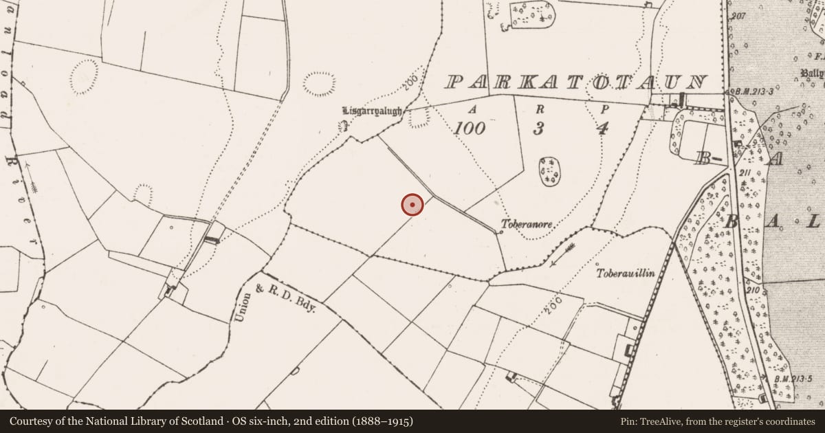 Ordnance Survey six-inch map, 2nd edition (1888–1915) covering the location of Enclosure, Parkatotaun, County Limerick, with a pin at the register's coordinates