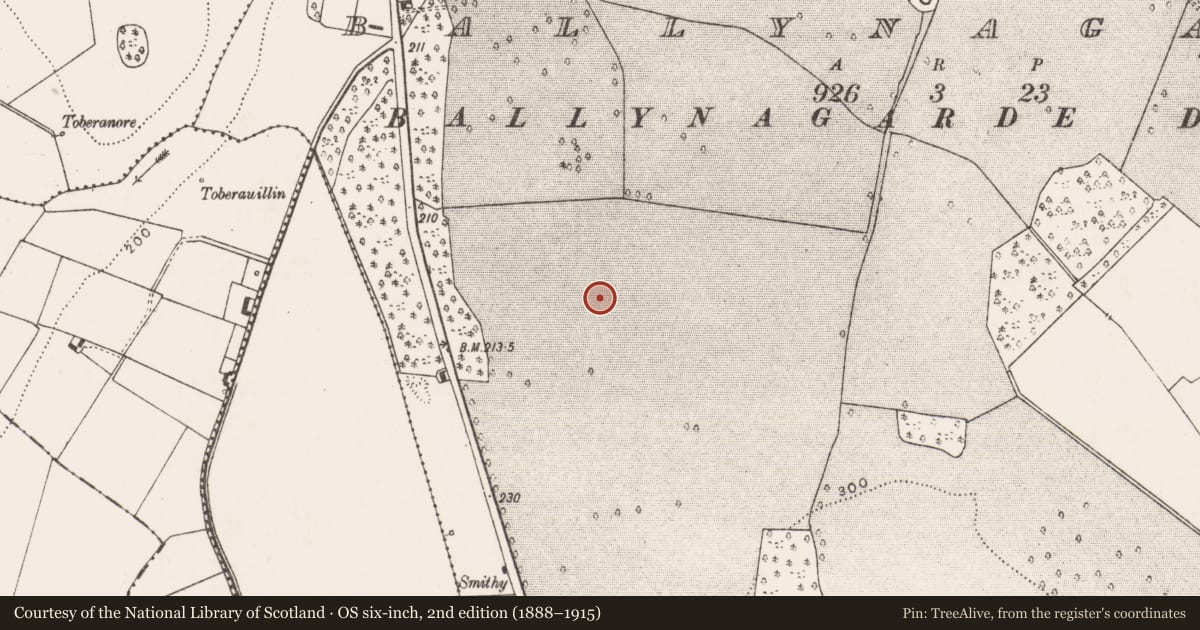 Ordnance Survey six-inch map, 2nd edition (1888–1915) covering the location of Linear earthwork, Ballynagarde, County Limerick, with a pin at the register's coordinates