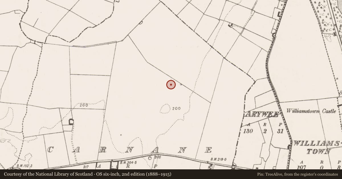Ordnance Survey six-inch map, 2nd edition (1888–1915) covering the location of Enclosure, Carnane, County Limerick, with a pin at the register's coordinates