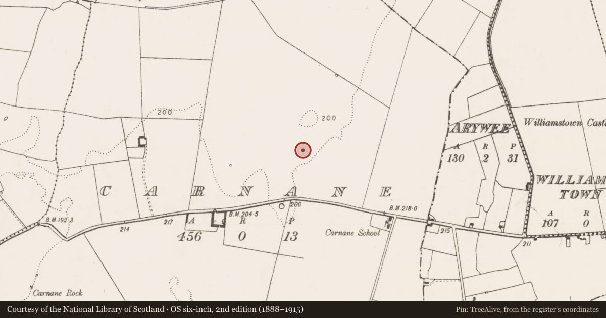 Ordnance Survey six-inch map, 2nd edition (1888–1915) covering the location of Moated site, Carnane, County Limerick, with a pin at the register's coordinates