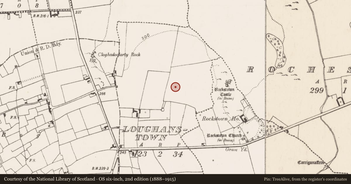Ordnance Survey six-inch map, 2nd edition (1888–1915) covering the location of Enclosure, Loughanstown, County Limerick, with a pin at the register's coordinates