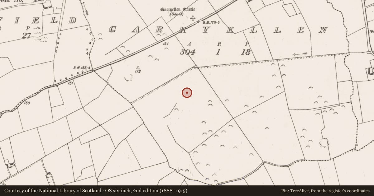 Ordnance Survey six-inch map, 2nd edition (1888–1915) covering the location of Barrow - ring-barrow, Garryellen, County Limerick, with a pin at the register's coordinates