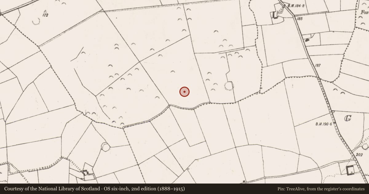 Ordnance Survey six-inch map, 2nd edition (1888–1915) covering the location of Field system, Garryellen, County Limerick, with a pin at the register's coordinates