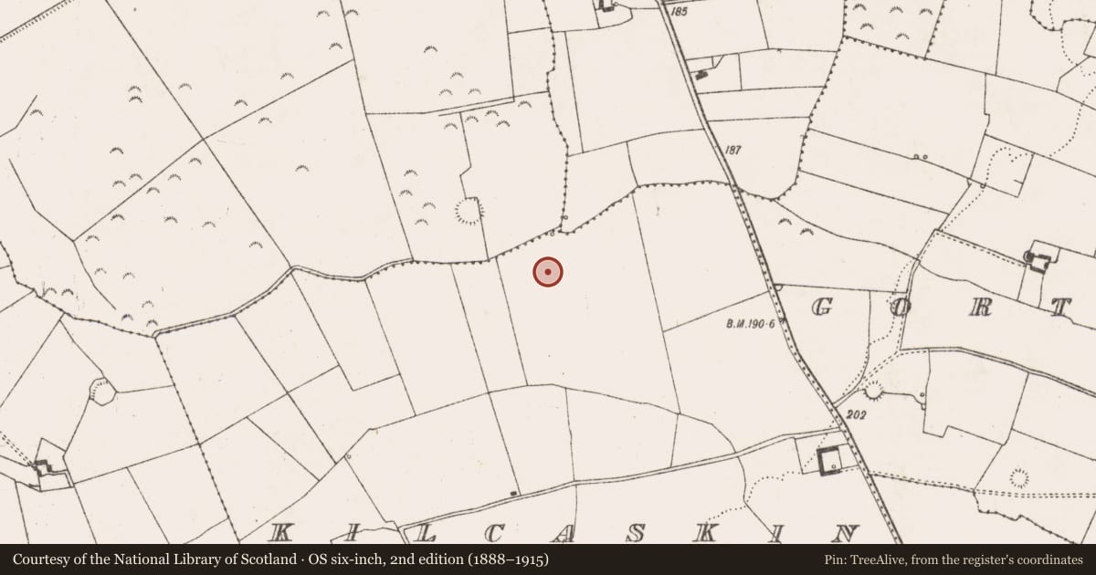 Ordnance Survey six-inch map, 2nd edition (1888–1915) covering the location of Enclosure, Kilcaskin, County Limerick, with a pin at the register's coordinates