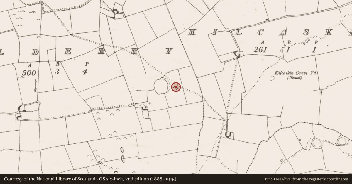 Ordnance Survey six-inch map, 2nd edition (1888–1915) covering the location of Road - road/trackway, Kilderry, County Limerick, with a pin at the register's coordinates