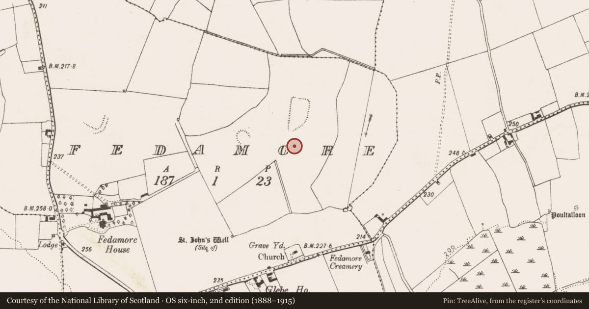 Ordnance Survey six-inch map, 2nd edition (1888–1915) covering the location of Enclosure, Fedamore, County Limerick, with a pin at the register's coordinates