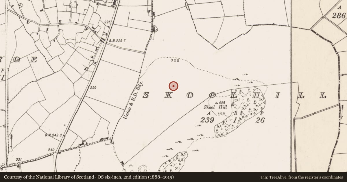 Ordnance Survey six-inch map, 2nd edition (1888–1915) covering the location of Field system, Skoolhill, County Limerick, with a pin at the register's coordinates