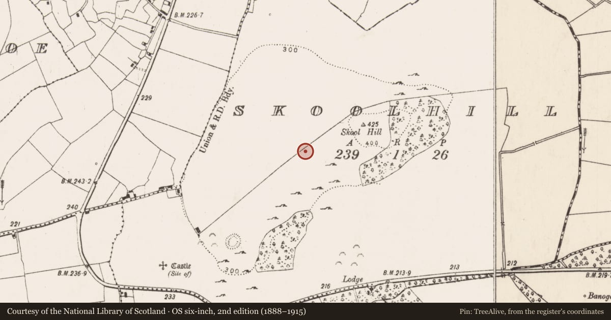 Ordnance Survey six-inch map, 2nd edition (1888–1915) covering the location of Enclosure, Skoolhill, County Limerick, with a pin at the register's coordinates