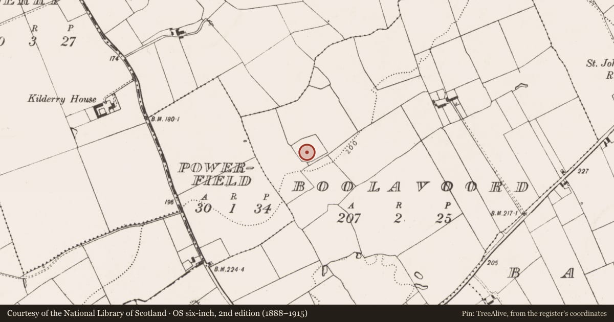 Ordnance Survey six-inch map, 2nd edition (1888–1915) covering the location of Enclosure, Boolavoord, County Limerick, with a pin at the register's coordinates