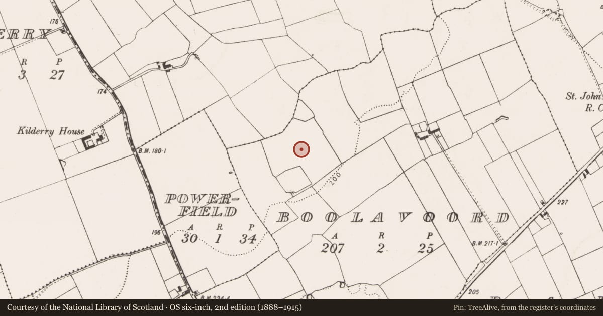 Ordnance Survey six-inch map, 2nd edition (1888–1915) covering the location of Enclosure, Boolavoord, County Limerick, with a pin at the register's coordinates